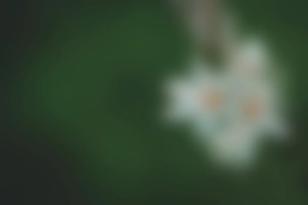 Aziz acharki tLsOA0Vlvwk unsplash