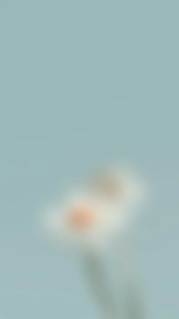 Jei lee qRQqSChwolI unsplash