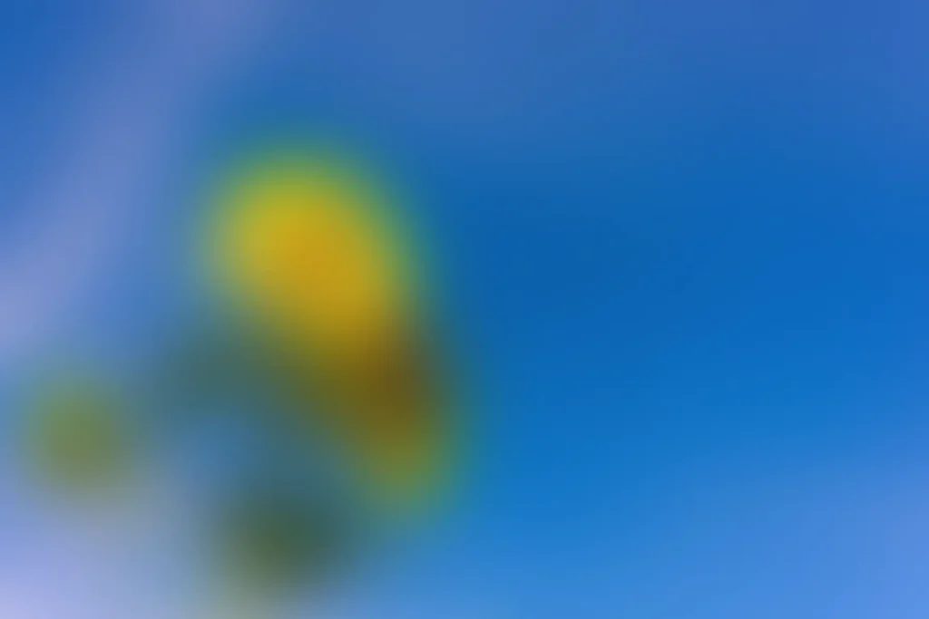 Joyce adams vWygrkD4UtA unsplash