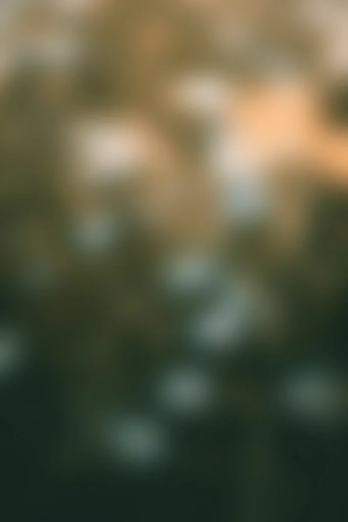 Karina vorozheeva 63FrV9TitrM unsplash