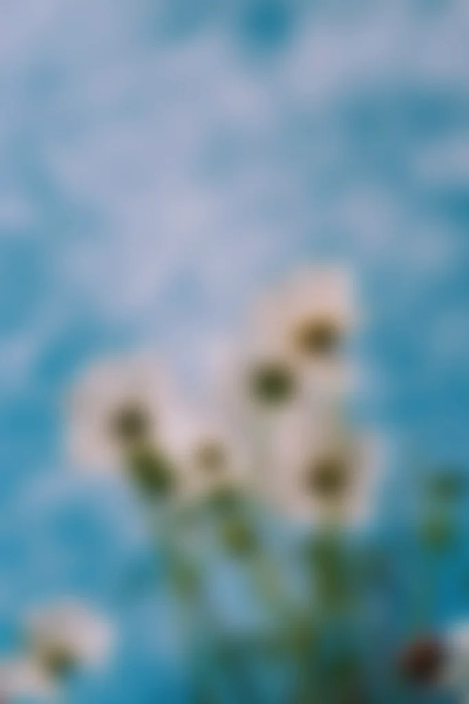 Mink mingle 96JD67agngE unsplash