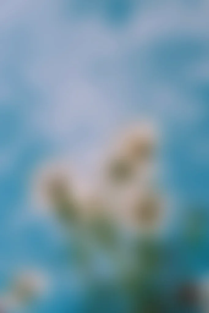 Mink mingle 96JD67agngE unsplash
