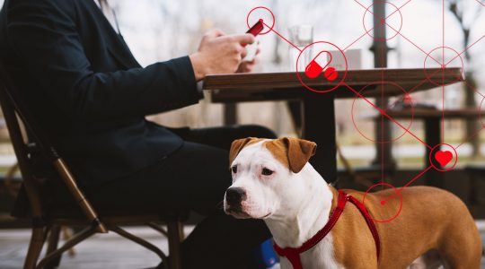 Medicine on the move: The mobile pet wellness consumers